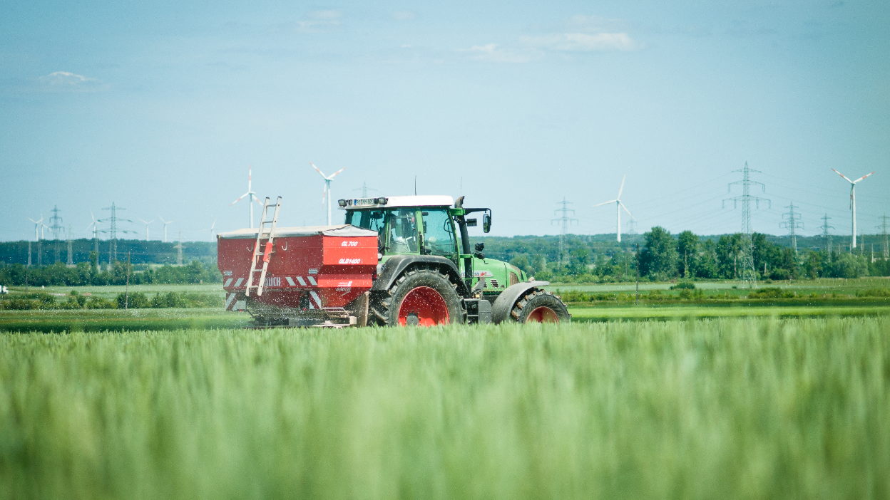 Rozsiewacz nawozów w zbożu