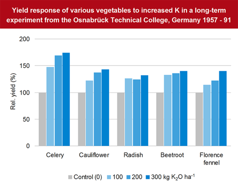 Increased K on vegetables