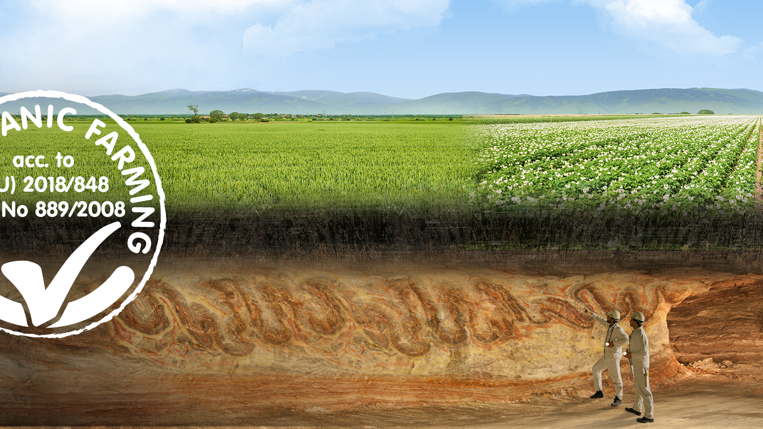 Fertilization organic farming